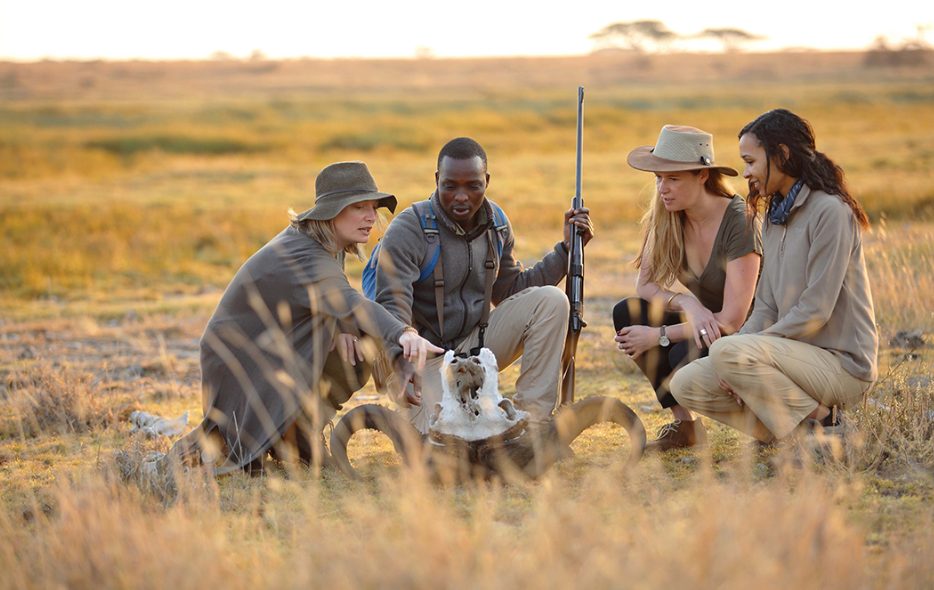 African safari specialist