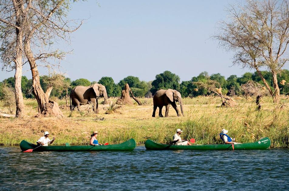 Zimbabwe safaris